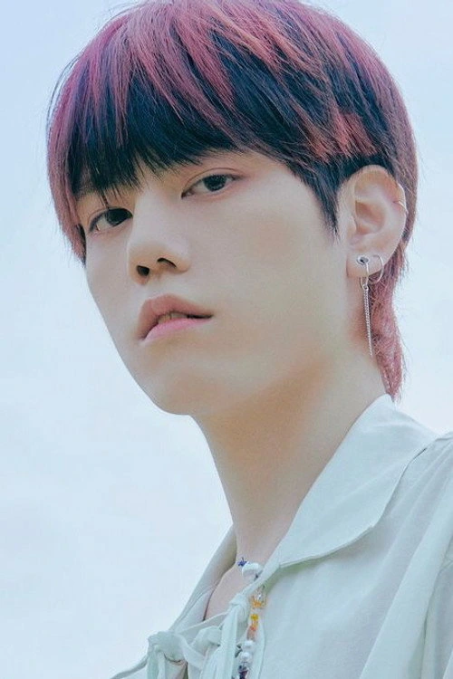 차훈