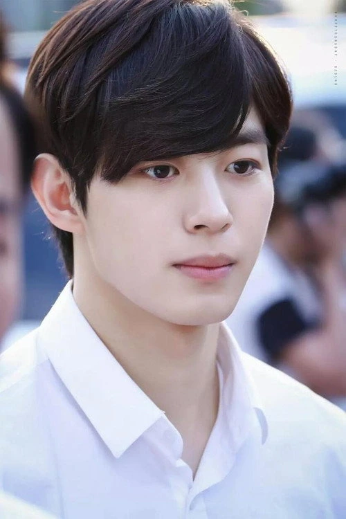 홍빈