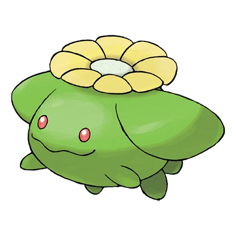 두코