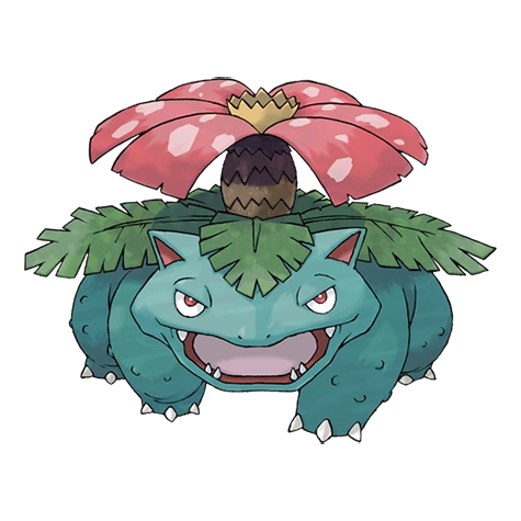 이상해꽃